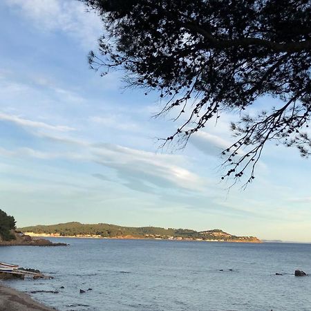 Studio St-Mandrier 300M Mer Saint-Mandrier-sur-Mer Exterior foto